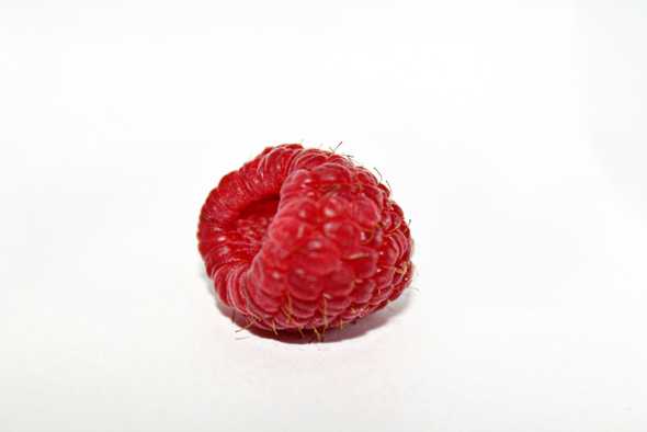 raspberry